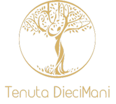 Tenuta DieciMani logo
